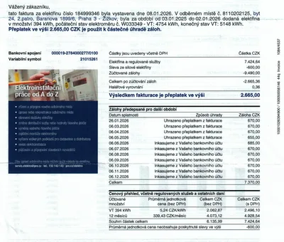 Přehled spotřeby elektřiny za rok 2025