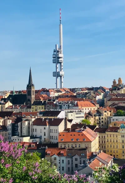 Pohled z Vítkova