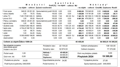 Vyúčtování služeb 2024