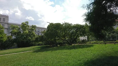 Žižkovo náměstí