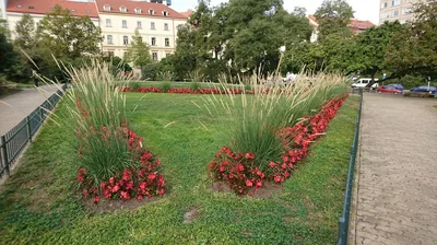Žižkovo náměstí 2