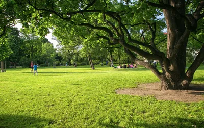 Riegrovy sady