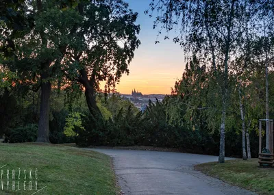 Riegrovy sady
